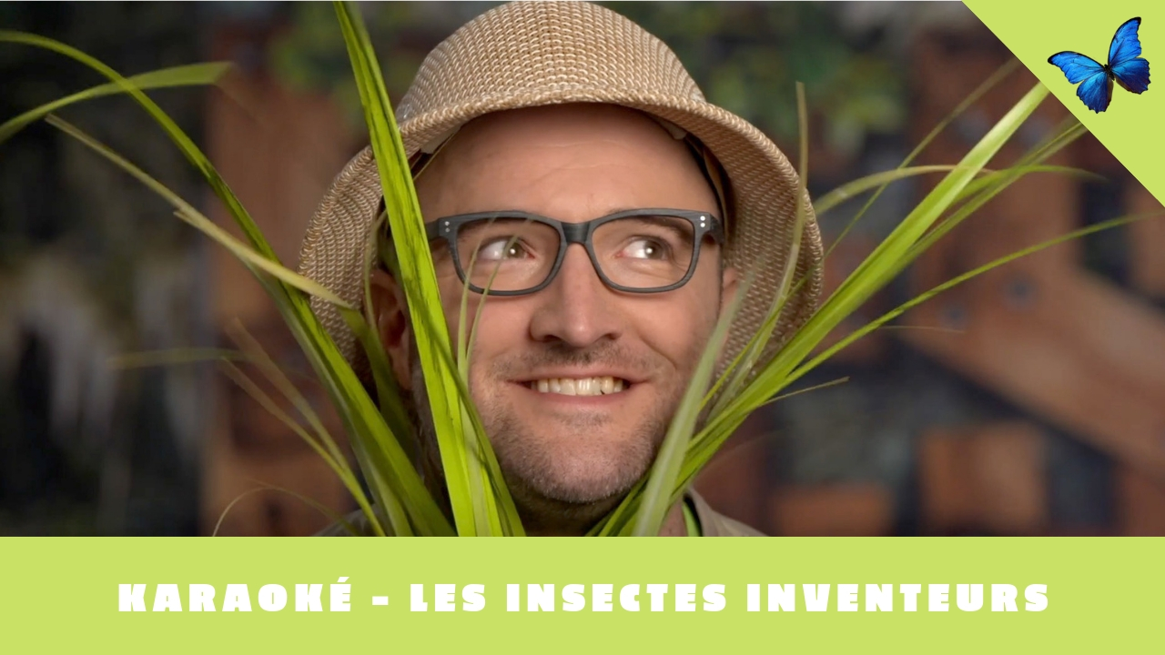 Bill Bestiole – Les insectes inventeurs (Karaoké)