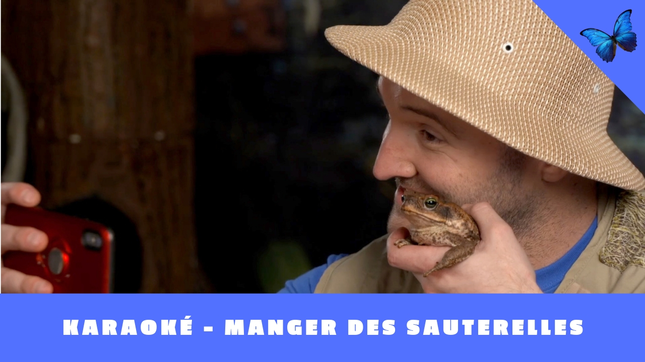 Bill Bestiole – Manger des sauterelles (Karaoké)