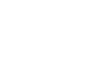 Logo T S tentaconte blanc